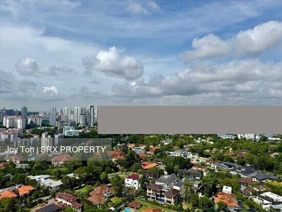 D'Leedon (D10), Condominium #543338241